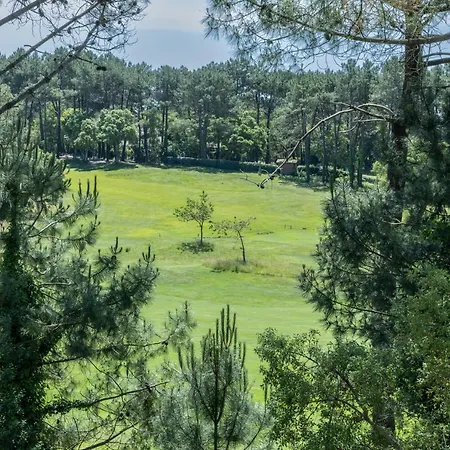 公寓 Palombes - Joli Piscine